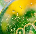 BREAKING DOWN FATS AND OILS - A CATALYST TO TRANSFORM THE GLOBAL EDIBLE FATS AND OILS SYSTEM - IUCN NL