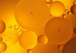 BREAKING DOWN FATS AND OILS - A CATALYST TO TRANSFORM THE GLOBAL EDIBLE FATS AND OILS SYSTEM - IUCN NL