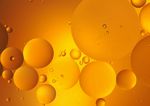 BREAKING DOWN FATS AND OILS - A CATALYST TO TRANSFORM THE GLOBAL EDIBLE FATS AND OILS SYSTEM - IUCN NL