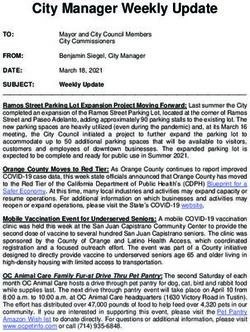 City Manager Weekly Update - City of San Juan Capistrano