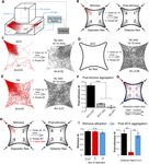 Food odors trigger Drosophila males to deposit a pheromone that guides aggregation and female oviposition decisions