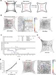 Food odors trigger Drosophila males to deposit a pheromone that guides aggregation and female oviposition decisions