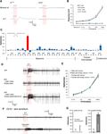 Food odors trigger Drosophila males to deposit a pheromone that guides aggregation and female oviposition decisions