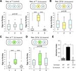 Food odors trigger Drosophila males to deposit a pheromone that guides aggregation and female oviposition decisions