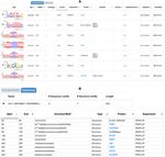 BRIO: a web server for RNA sequence and structure motif scan