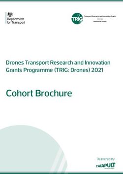 Cohort Brochure Drones Transport Research and Innovation Grants Programme (TRIG: Drones) 2021