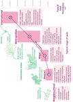 BEXLEY RETAIL & LEISURE STUDY: VOLUME 1 - London Borough of Bexley for