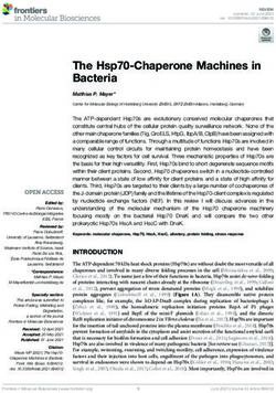 The Hsp70-Chaperone Machines in Bacteria - Frontiers