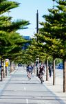 INTERNATIONAL COURSE GUIDE 2021 - Monash College