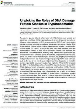 Unpicking the Roles of DNA Damage Protein Kinases in Trypanosomatids