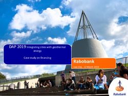 Rabobank Ivan Das, 12 March 2019 - DAP 2019 Integrating cities with geothermal - DAP Symposium 2019