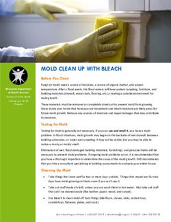MOLD CLEAN UP WITH BLEACH