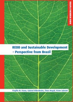 REDD and Sustainable Development - Perspective from Brazil - Virgilio M. Viana, Gabriel Ribenboim, Thais Megid, Victor Salviati