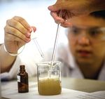 Curriculum Overview 2019-2020 Taipei European School British Secondary & High School