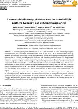 A remarkable discovery of electrum on the island of Sylt, northern Germany, and its Scandinavian origin - EJM