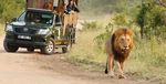 ABOUT THE TOUR 4 DAY KRUGER AND PANORAMA PRIVATE SAFARI