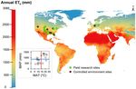 Water Use Characteristics of Weeds: A Global Review, Best Practices, and Future Directions
