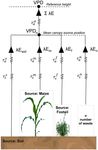 Water Use Characteristics of Weeds: A Global Review, Best Practices, and Future Directions