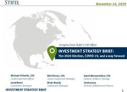 INVESTMENT STRATEGY BRIEF: The 2020 Election, COVID-19, and a way forward - Stifel