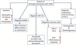 Vitamin D: Pharmacology and Clinical Challenges in Oral Health Care - International Academy of Periodontology