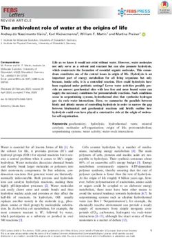 The ambivalent role of water at the origins of life - HHU