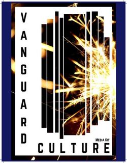 Media Kit - Vanguard Culture