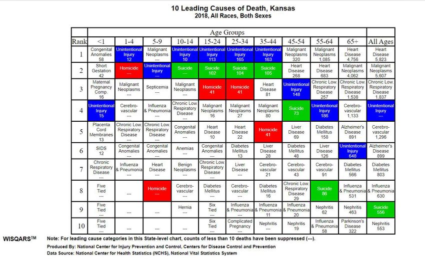KANSAS UNINTENTIONAL INJURY PREVENTION PLAN 20212025 Department of