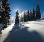 COLORADO MOUNTAIN COLLEGE