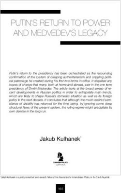 PUTIN'S RETURN TO POWER AND MEDVEDEV'S LEGACY