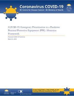 COVID-19: Emergency Prioritization in a Pandemic Personal Protective Equipment (PPE) Allocation Framework - Provincial COVID-19 Task Force March ...