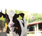 MONTHLY NEWS - Animal Health Ireland