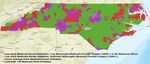 An ADA Health Policy Institute Analysis for the North Carolina Department of Health and Human Services, Division of Health Benefits