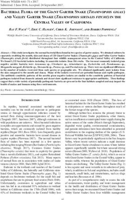 Bacterial Flora of the Giant Garter Snake (Thamnophis gigas) and Valley Garter Snake (Thamnophis sirtalis fitchi) in the Central Valley of ...