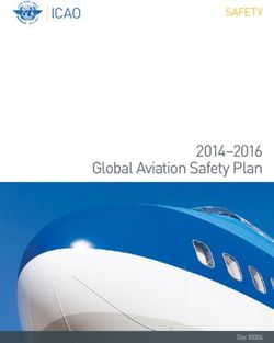 2014-2016 Global Aviation Safety Plan - SAFETY