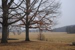"Our Patriots" The Frederick Chapter National Society Daughters of the American Revolution Patriot Biographies