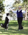 2021 canine Information Guide - Ekka