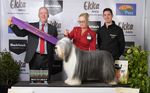 2021 canine Information Guide - Ekka