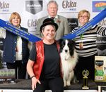 2021 canine Information Guide - Ekka