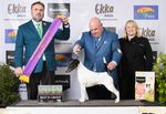2021 canine Information Guide - Ekka