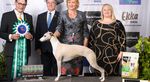 2021 canine Information Guide - Ekka