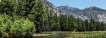 LAND OF THE GIANTS - DELUXE MOTORCOACH TRAVEL EXPERIENCES FROM SAN DIEGO - SEQUOIA & KINGS CANYON NATIONAL PARKS SEPTEMBER 27 -30, 2020 4-DAY ...