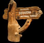 LAND OF THE GIANTS - DELUXE MOTORCOACH TRAVEL EXPERIENCES FROM SAN DIEGO - SEQUOIA & KINGS CANYON NATIONAL PARKS SEPTEMBER 27 -30, 2020 4-DAY ...