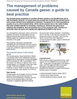The management of problems caused by Canada geese: a guide to best practice