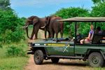 11 NIGHT - 12 DAY SAFARI 2020 SPECIAL COMPLETE AFRICAN ADVENTURE KRUGER NATIONAL PARK- CAPE TOWN - VICTORIA FALLS - 12 DAY SAFARI 2020 SPECIAL ...