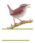 Countryside Bird Survey Report - NPWS