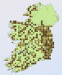 Countryside Bird Survey Report - NPWS