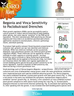 Begonia and Vinca Sensitivity to Paclobutrazol Drenches - e-GRO