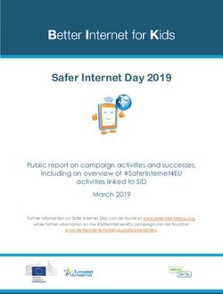 Safer Internet Day 2019 - Public report on campaign activities and successes, including an overview of #SaferInternet4EU activities linked to SID ...