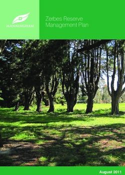 Zerbes Reserve Management Plan - August 2011 - Manningham Council