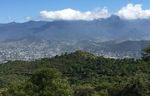 Mexico: Migration, Borders, and Transnational Communities Fall 2021